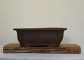 Bonsai Pot Lotus Oval