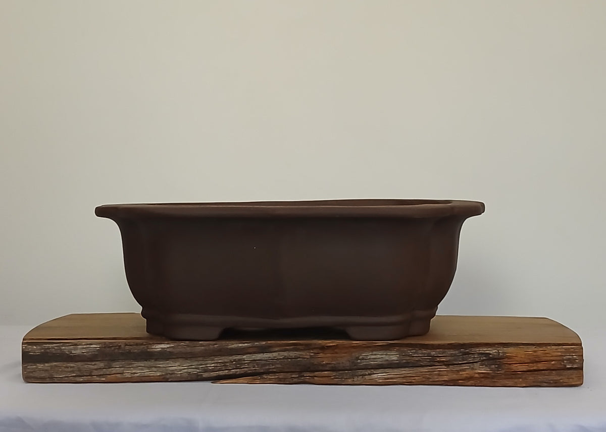 Bonsai Pot Lotus Oval