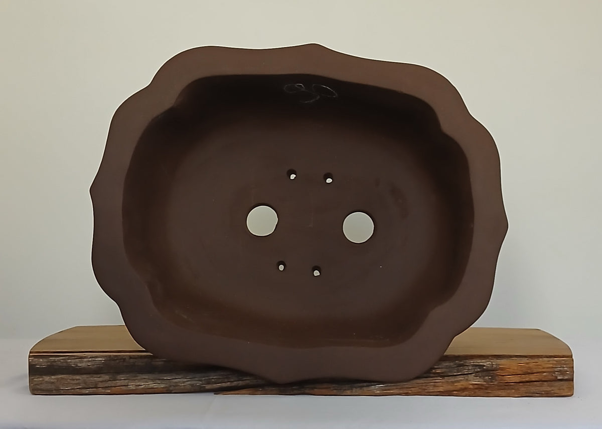 Bonsai Pot Lotus Oval