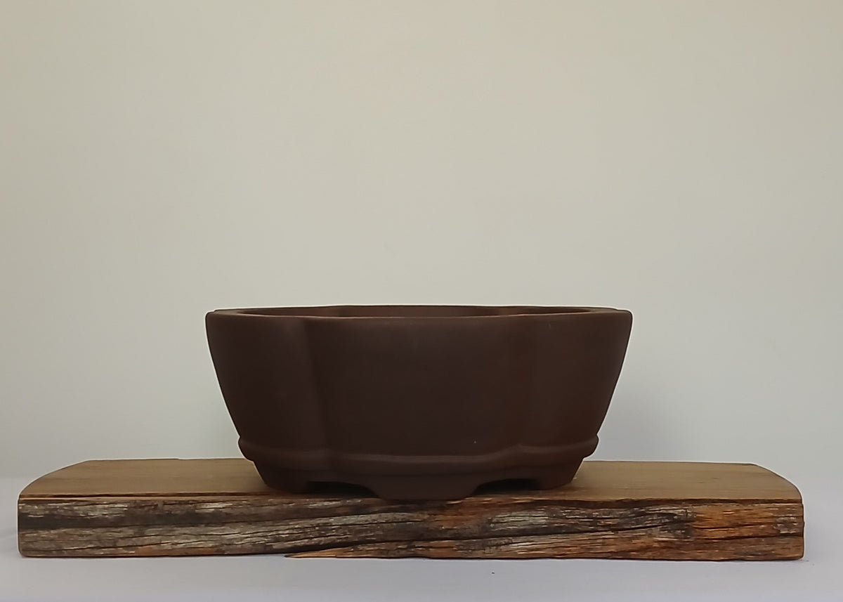 Bonsai Pot Lotus Round