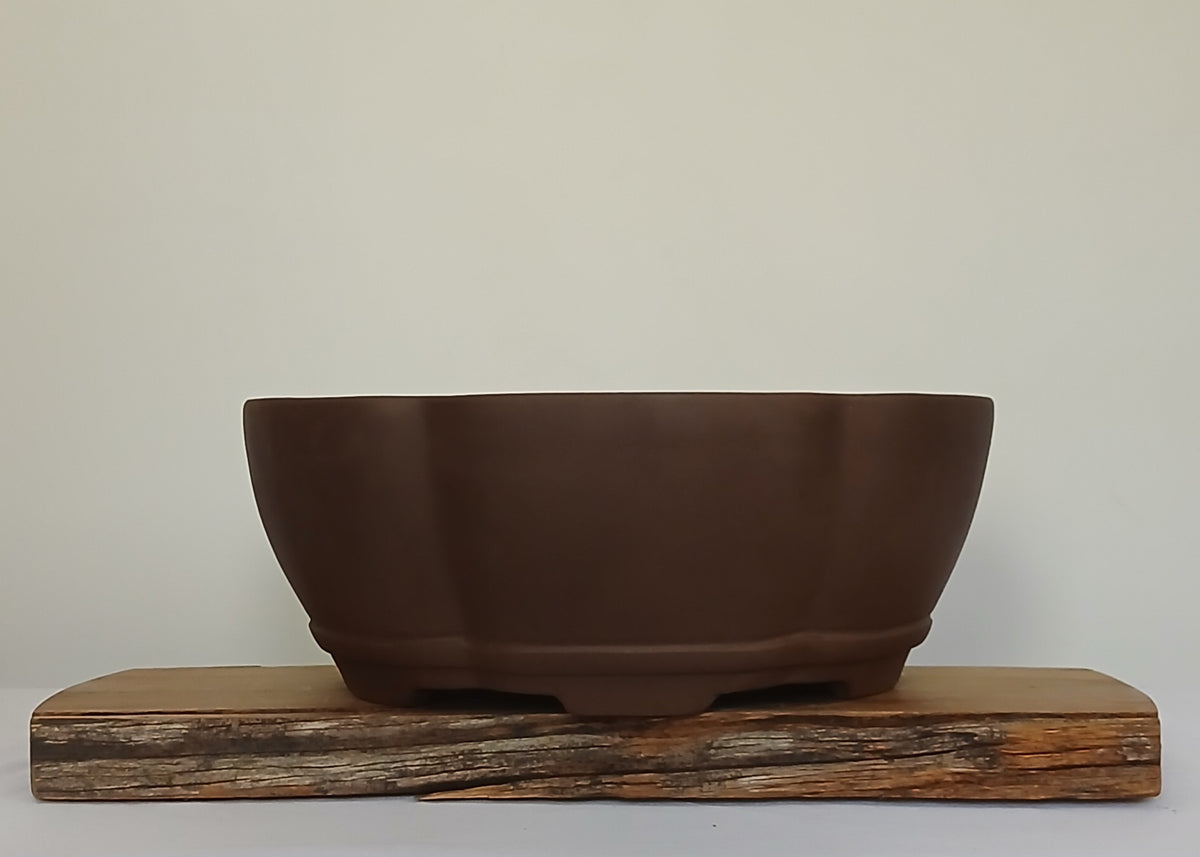 Bonsai Pot Lotus Round