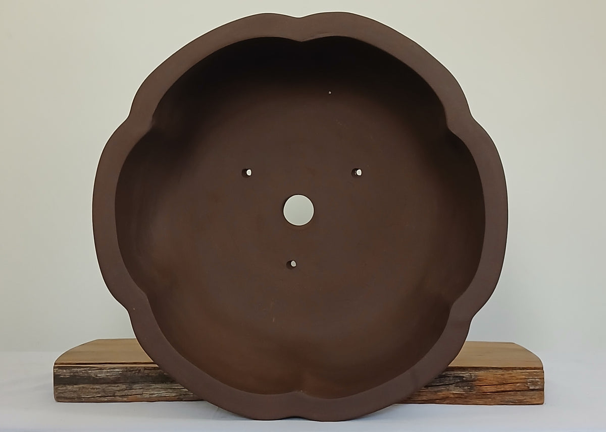 Bonsai Pot Lotus Round
