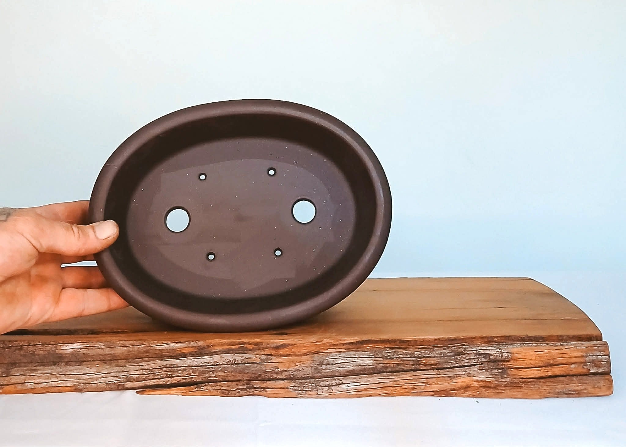Bonsai Pot Oval 24cm - The Plant Warehouse NZ