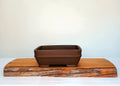 Bonsai Pot Rectangle 22cm - The Plant Warehouse NZ