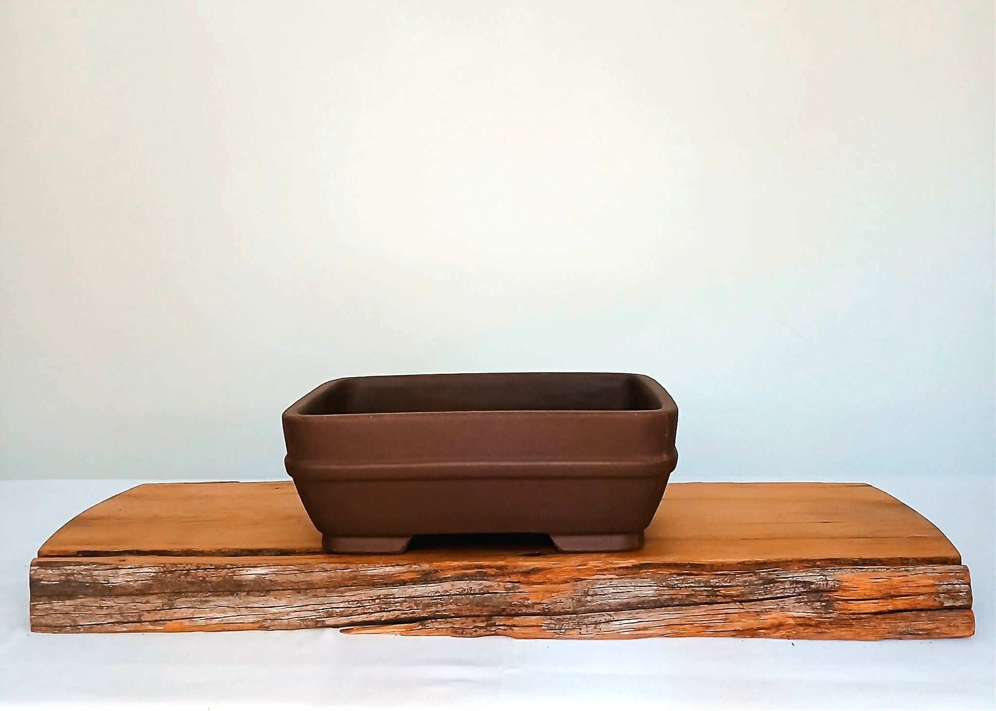 Bonsai Pot Rectangle 22cm - The Plant Warehouse NZ