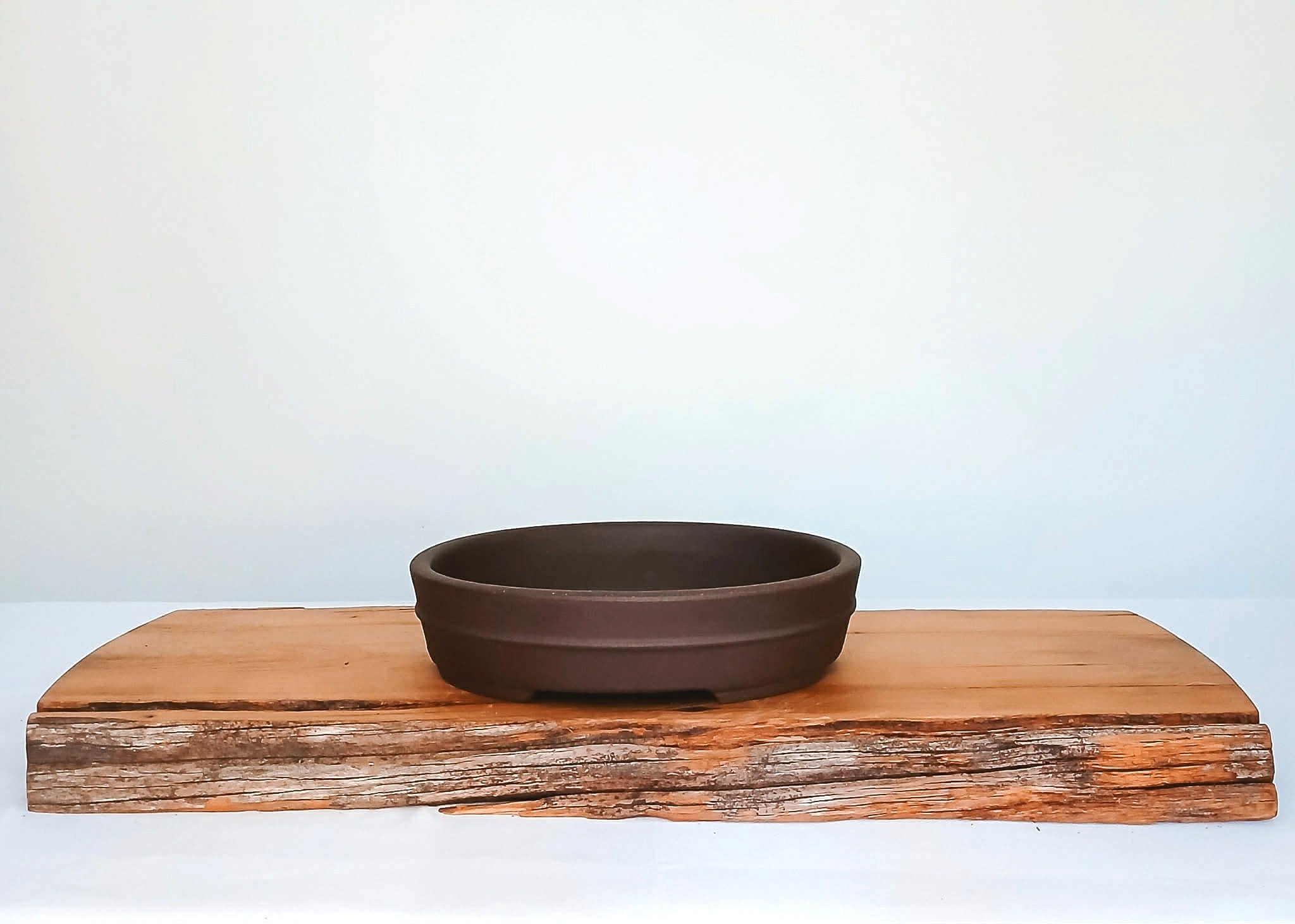 Bonsai Pot Oval 20cm - The Plant Warehouse NZ