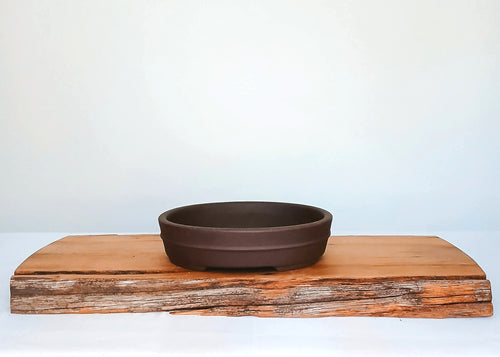 Bonsai Pot Oval 20cm - The Plant Warehouse NZ