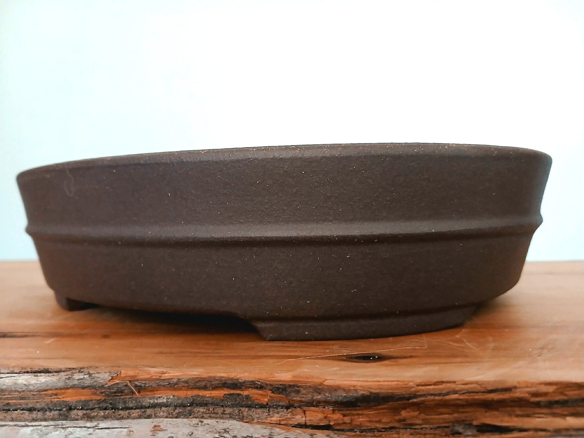 Bonsai Pot Oval 20cm - The Plant Warehouse NZ