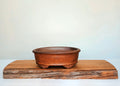Bonsai Pot Oval 24cm Reduction Fired - The Plant Warehouse NZ