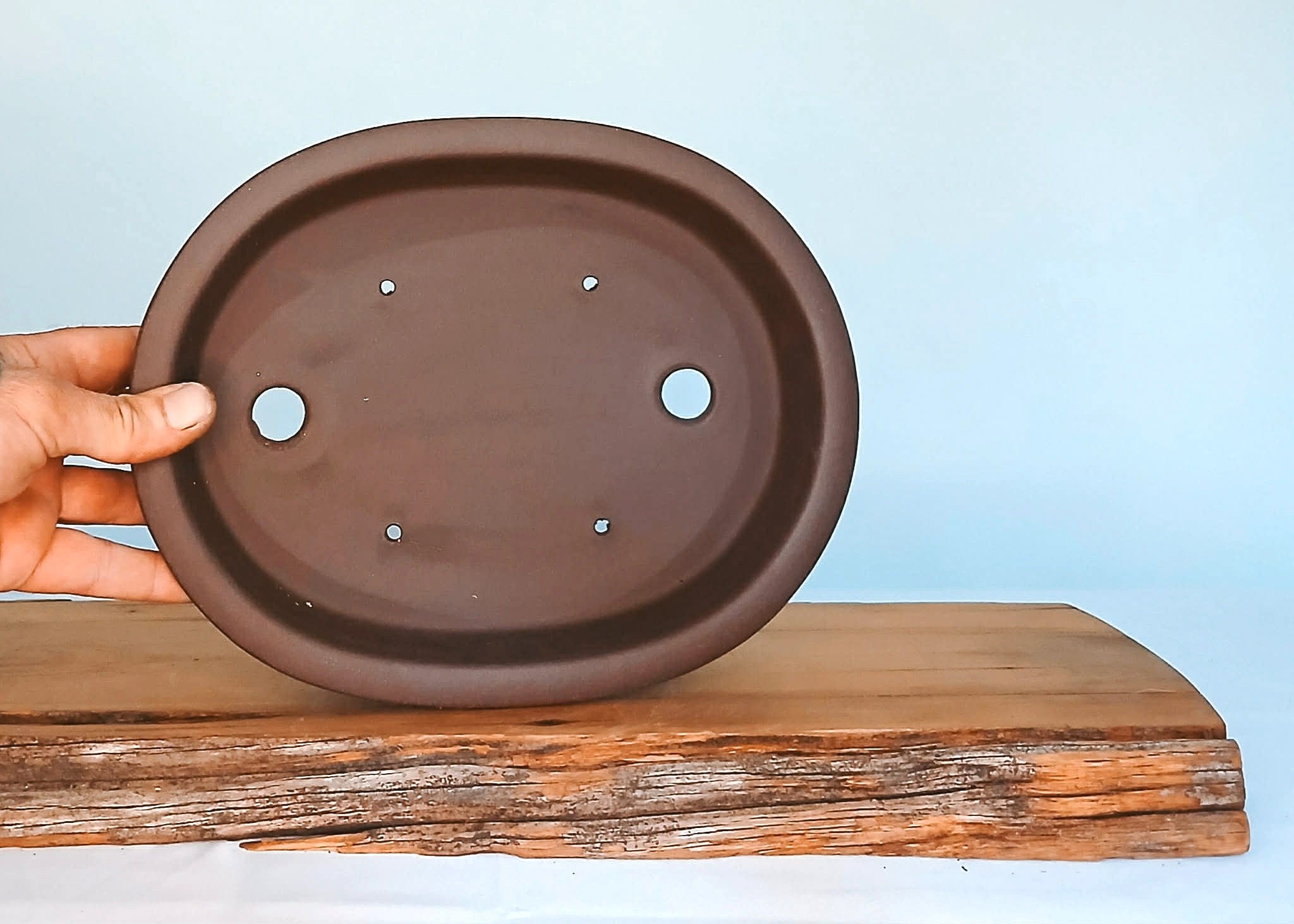 Bonsai Pot Oval 26cm - The Plant Warehouse NZ