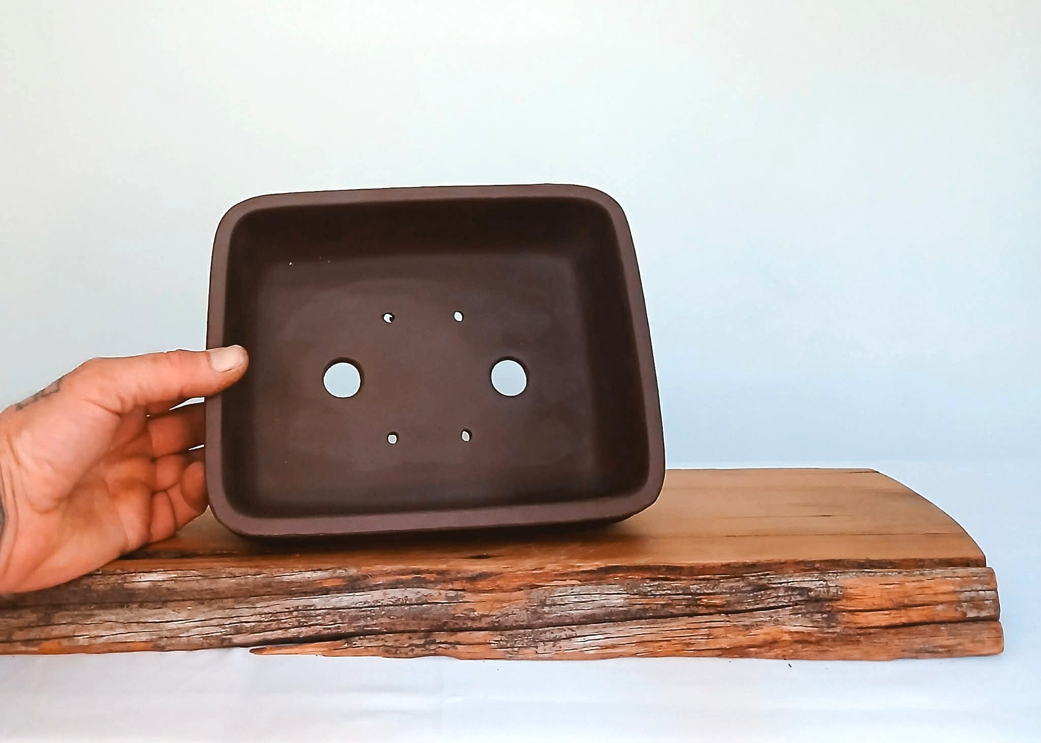 Bonsai Pot Rectangle 22cm - The Plant Warehouse NZ
