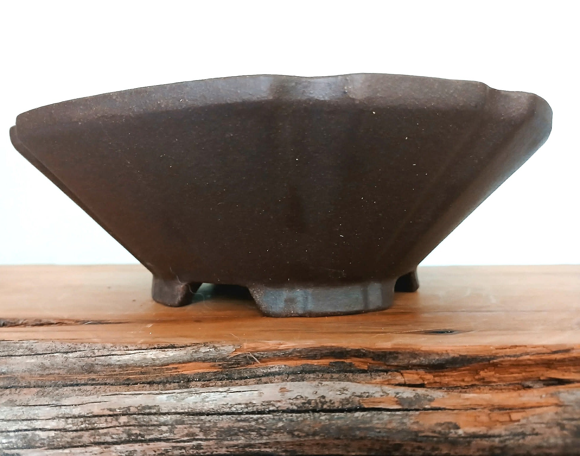 Bonsai Pot Lotus 20cm - The Plant Warehouse NZ