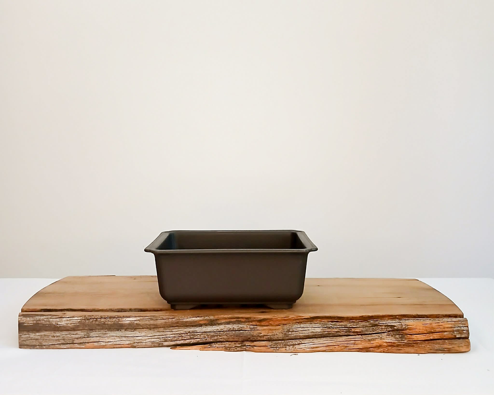 Plastic Bonsai Trainings Pots 20cm Rectangle - The Plant Warehouse NZ