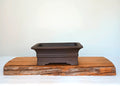 Bonsai Pot Rectangle 24cm - The Plant Warehouse NZ