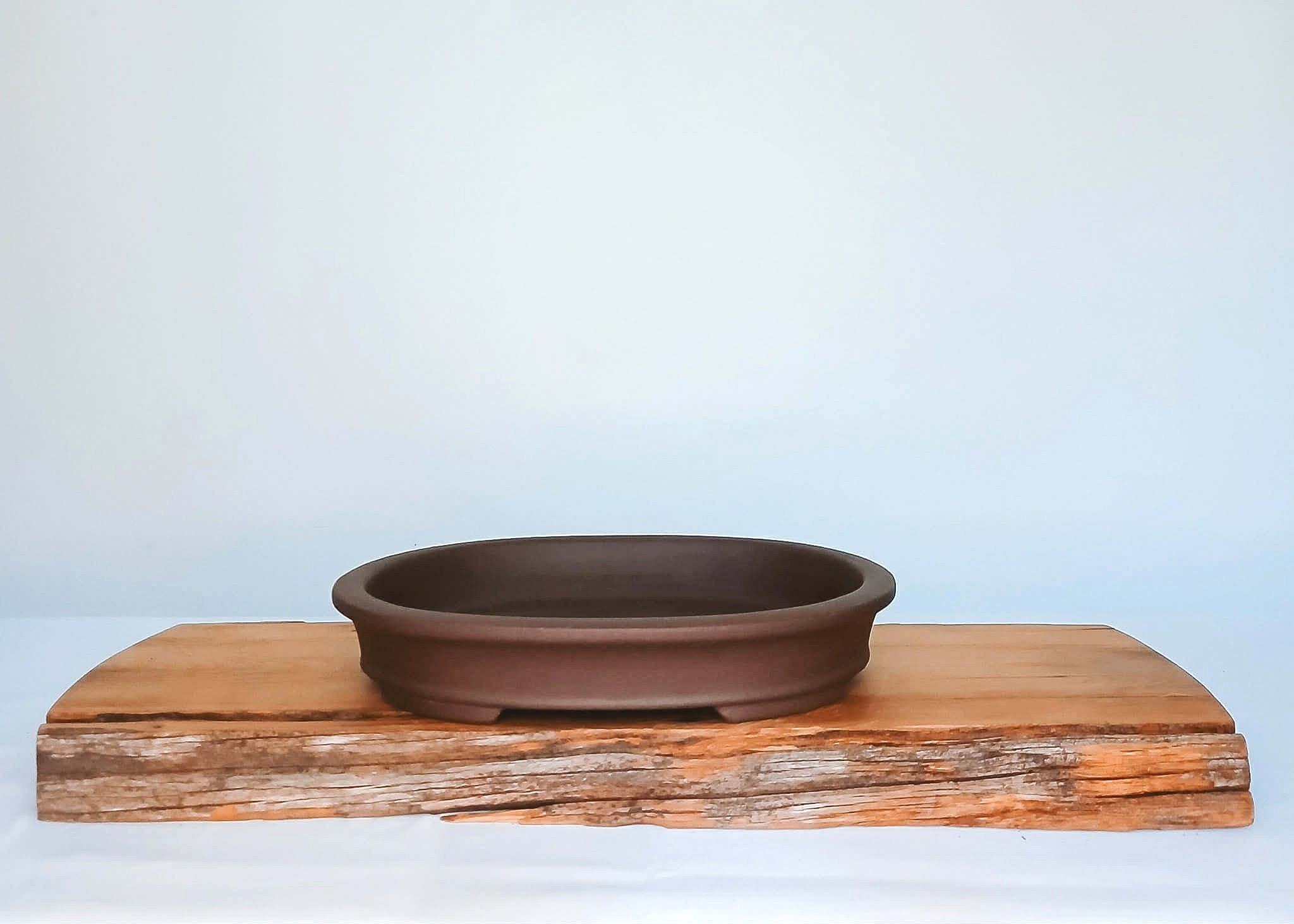 Bonsai Pot Oval 26cm - The Plant Warehouse NZ