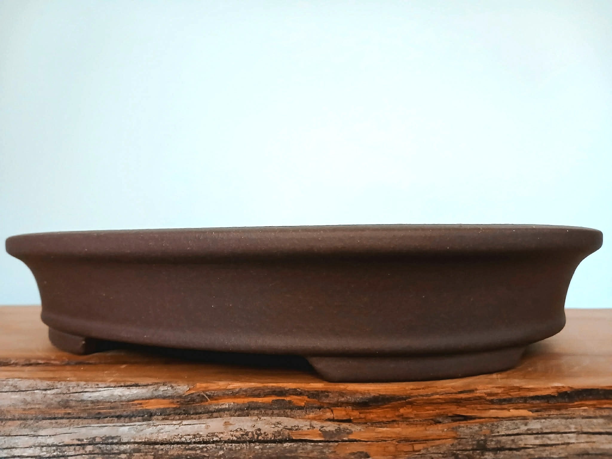 Bonsai Pot Oval 26cm - The Plant Warehouse NZ