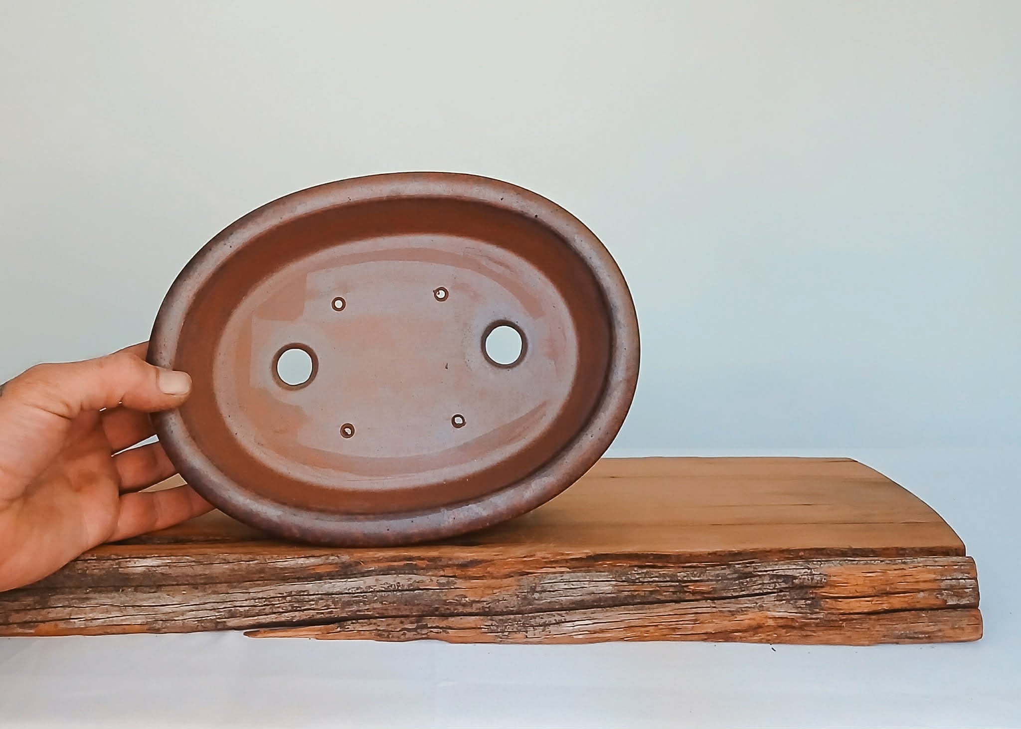 Bonsai Pot Oval 24cm Reduction Fired - The Plant Warehouse NZ