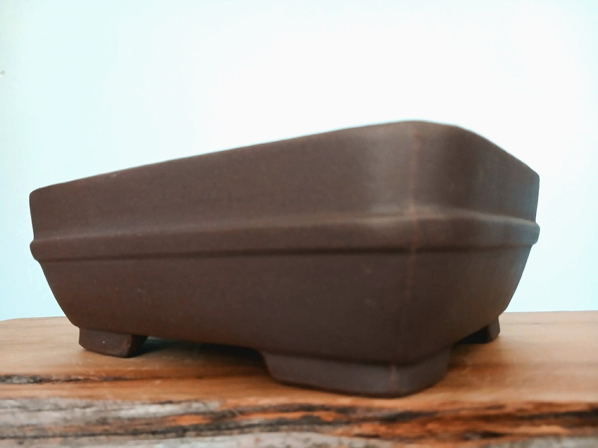 Bonsai Pot Rectangle 22cm - The Plant Warehouse NZ