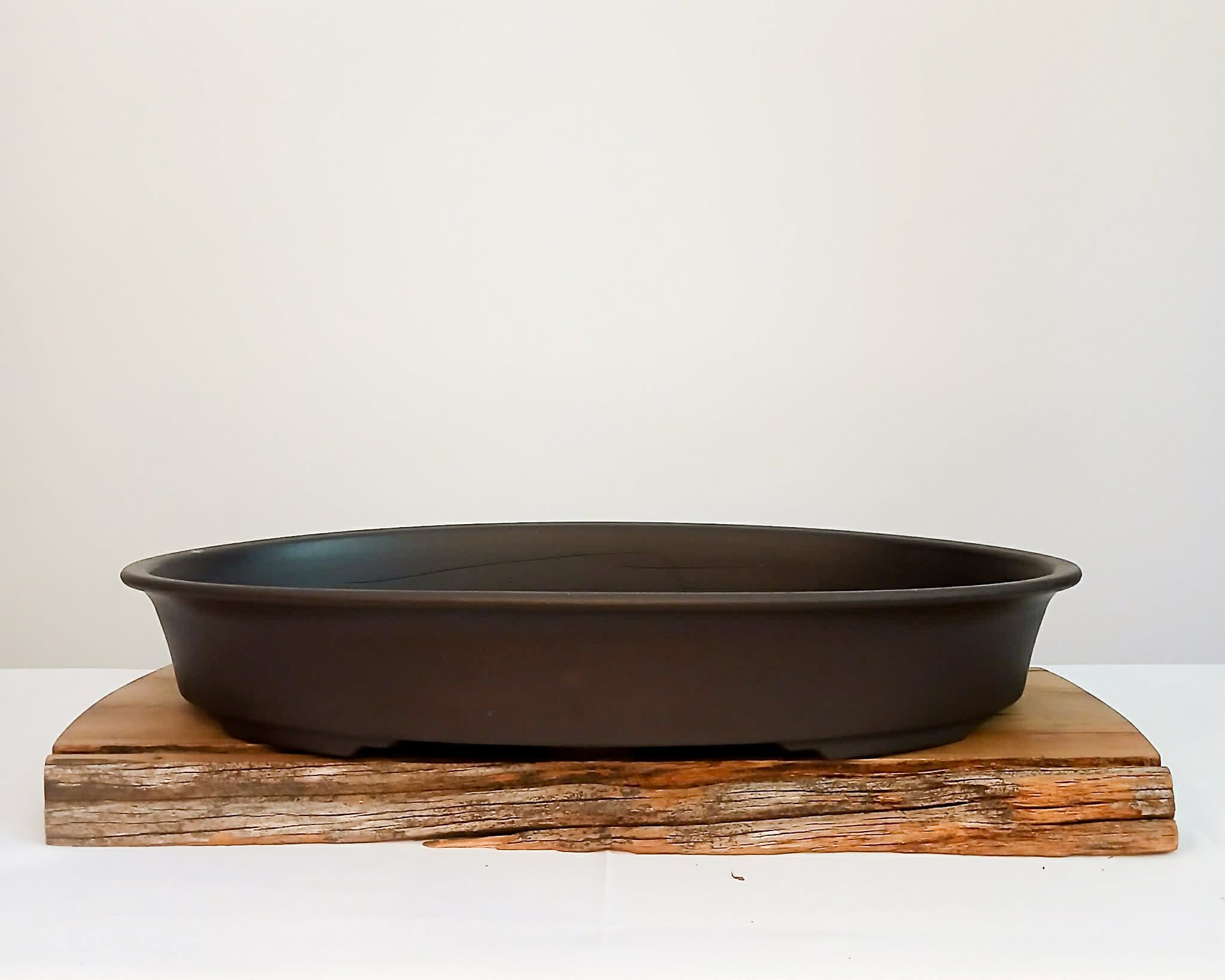 Plastic Bonsai Trainings Pots 50cm Oval - The Plant Warehouse NZ