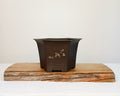 Plastic Bonsai Trainings Pots hexagon 23*23*14cm - The Plant Warehouse NZ