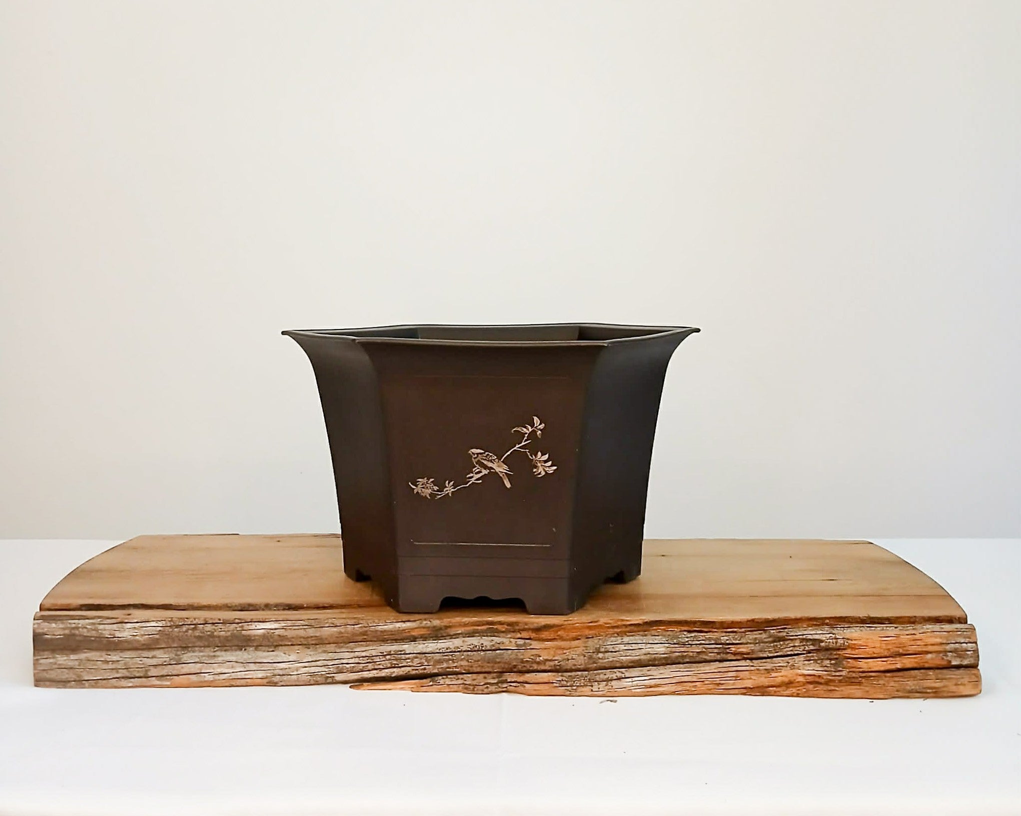 Plastic Bonsai Trainings Pots hexagon 23*23*14cm - The Plant Warehouse NZ