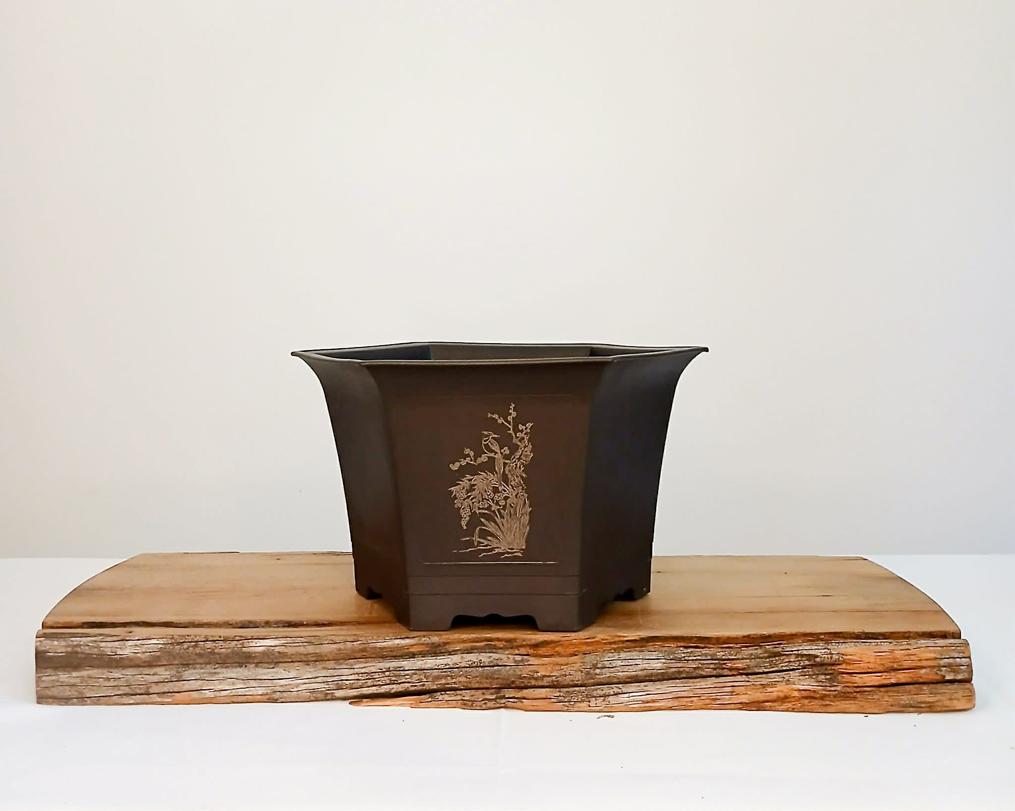 Plastic Bonsai Trainings Pots hexagon 23*23*14cm - The Plant Warehouse NZ