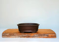 Bonsai Pot Oval 24cm - The Plant Warehouse NZ