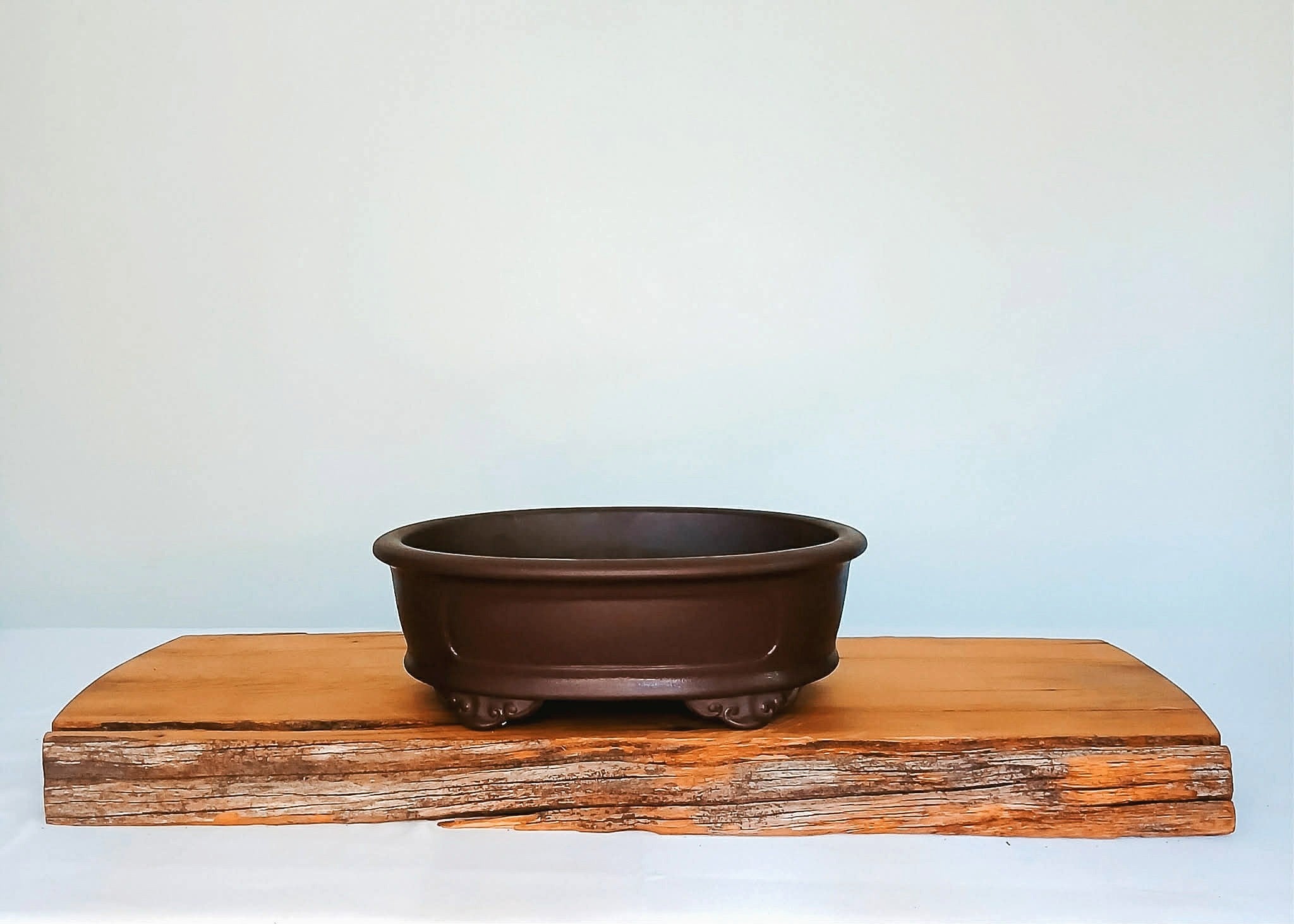 Bonsai Pot Oval 24cm - The Plant Warehouse NZ