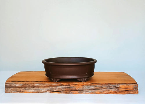 Bonsai Pot Oval 24cm - The Plant Warehouse NZ