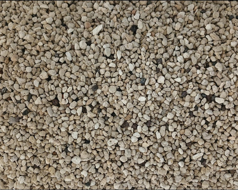 Premium Bonsai & Plant Soil — All-Purpose Coarse Pumice 6mm+ / 5.5L - The Plant Warehouse NZ