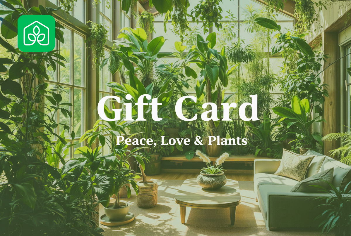 The Plant Warehouse Gift Card - The Plant Warehouse NZ